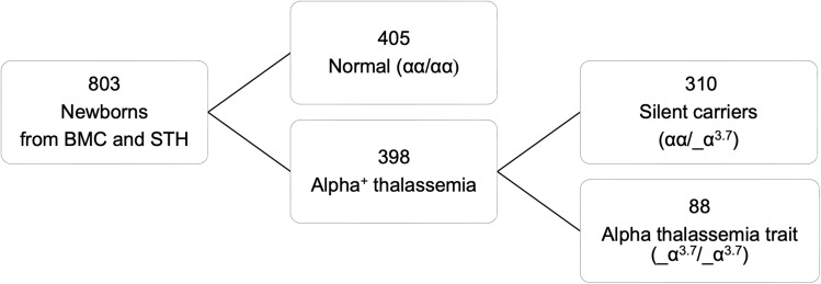 Alpha+ Thalassemia in Northwestern Tanzania: Molecular and Hematological Insights From Newborn Screening.