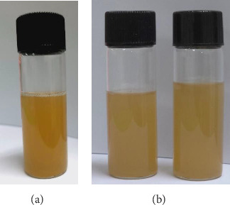 <i>Phoenix dactylifera</i> Mucilage and Polyvinyl Alcohol-Based Plaster Gel for Nicotine Delivery.