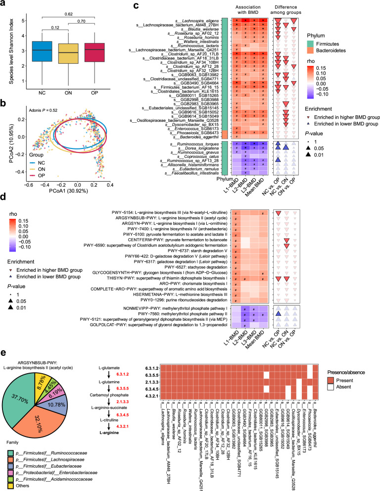 Metagenomic analysis revealing links between age, gut microbiota and bone loss in Chinese adults.