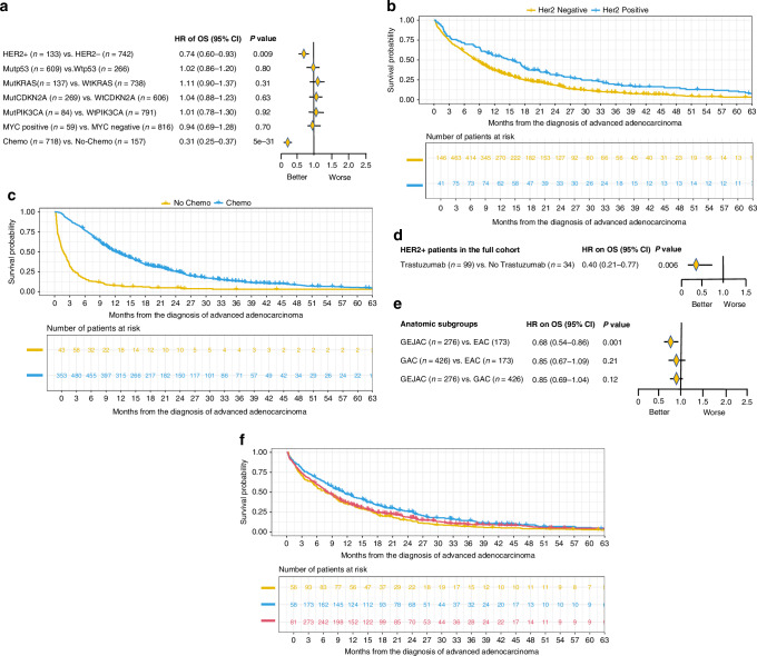 Association of HER2 amplification or overexpression with overall survival in advanced upper gastrointestinal adenocarcinomas.