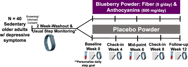 Berries and Steps: a protocol of a randomized, placebo-controlled pilot study testing freeze-dried blueberry powder in sedentary older adults with mild depressive symptoms.
