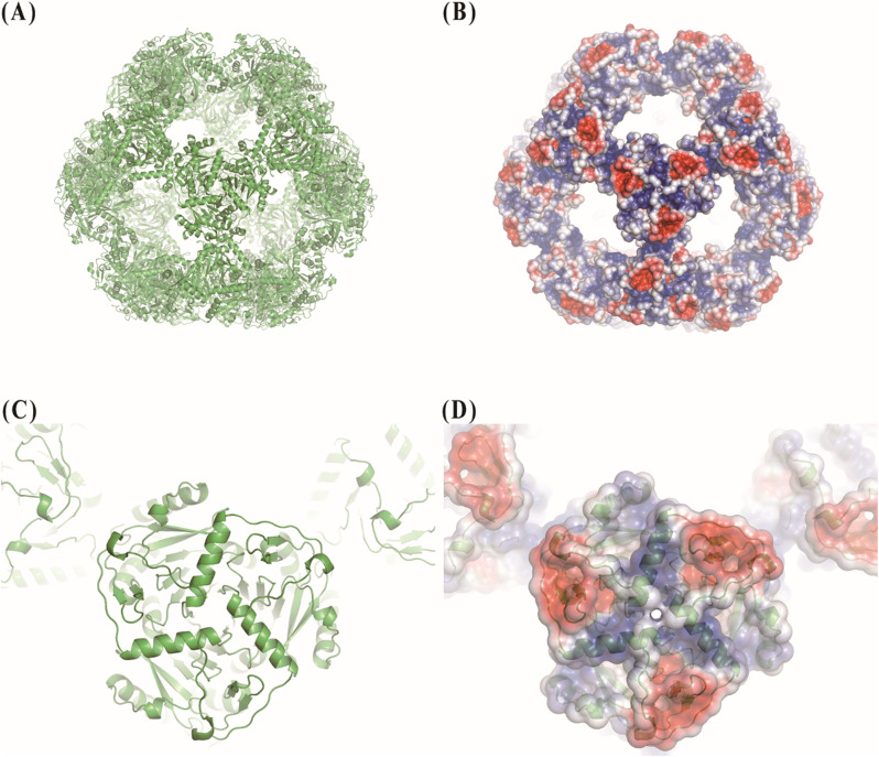 Technical approaches of 3D reconstruction from protein complex using the mixture of differently stained images: providing suggestive evidence for improving its resolution