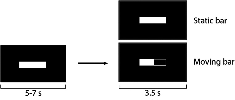 Predictable transcranial magnetic stimulation suppresses corticospinal excitability: a TMS experiment.