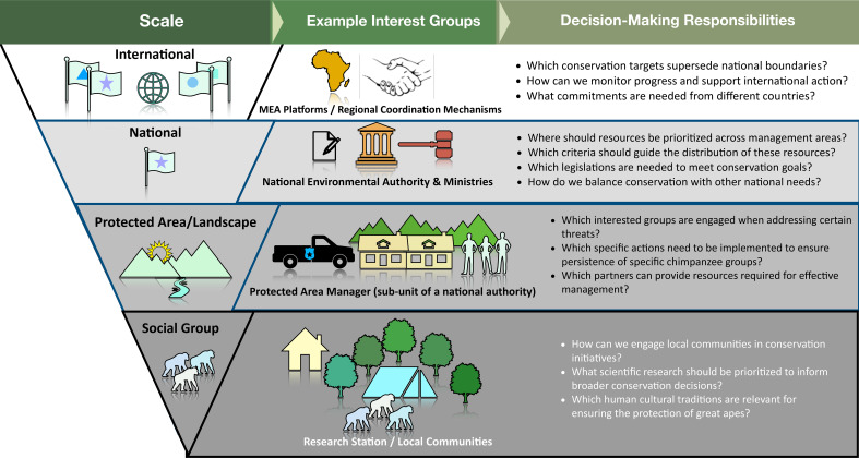Concerted conservation actions to support chimpanzee cultures.