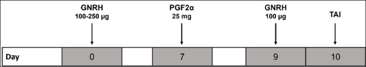 Reproductive disorders in Simmental cattle: Enhancing fertility through a hormonal protocol.