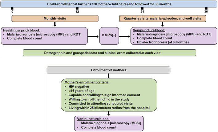 Diagnostic accuracy of <i>Pf</i>HRP2-based malaria rapid diagnostic tests and antigenemia persistence in Kenyan children from a holoendemic region: implications for case management and surveillance.