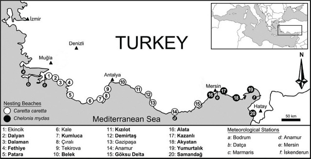 Endoparasites and epibionts of loggerhead and green sea turtles from the eastern Mediterranean, Turkey: A detailed assessment.
