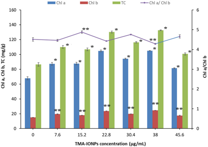 Evaluation of phytotoxicity and genotoxicity of TMA-stabilized iron-oxide nanoparticle in corn (Zea mays) young plants.