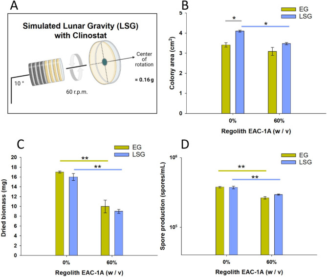 Biomining of lunar regolith simulant EAC-1 A with the fungus Penicillium simplicissimum.