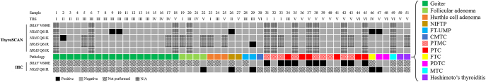 Validation of preoperative BRAF V600E testing by ThyroSCAN PanelChip in thyroid nodules.