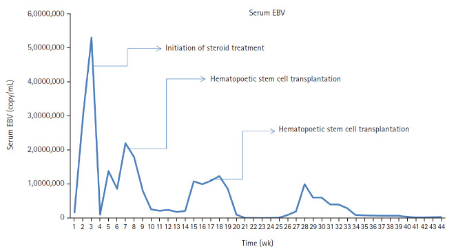 Histopathological characteristics of Epstein-Barr virus (EBV)-associated encephalitis and colitis in chronic active EBV infection.