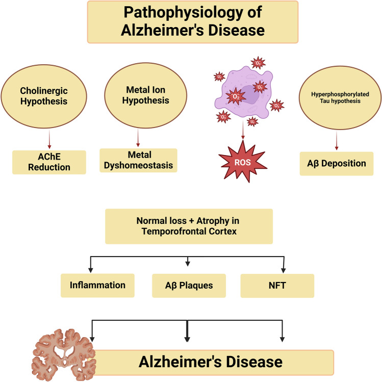 Unlocking Alzheimer's Disease: The Role of BDNF Signaling in Neuropathology and Treatment.