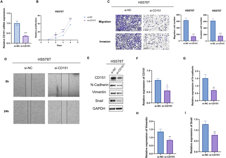 CD151 Promotes Cancer Progression in Triple-Negative Breast Cancer by Inducing EMT through the MAPK Signaling Pathway.