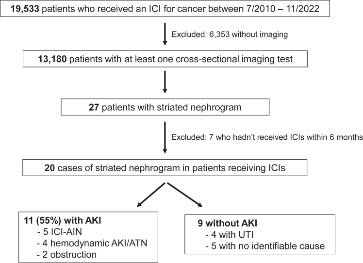 Clinical Implications of Striated Nephrogram in Patients Receiving Immune Checkpoint Inhibitors for Cancer.