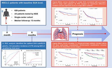 Association of Baseline Serum Uric Acid With Venous Thromboembolism and Clinical Outcomes in Patients With Non-Small Cell Lung Cancer.