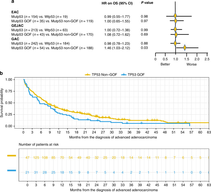 Association of HER2 amplification or overexpression with overall survival in advanced upper gastrointestinal adenocarcinomas.