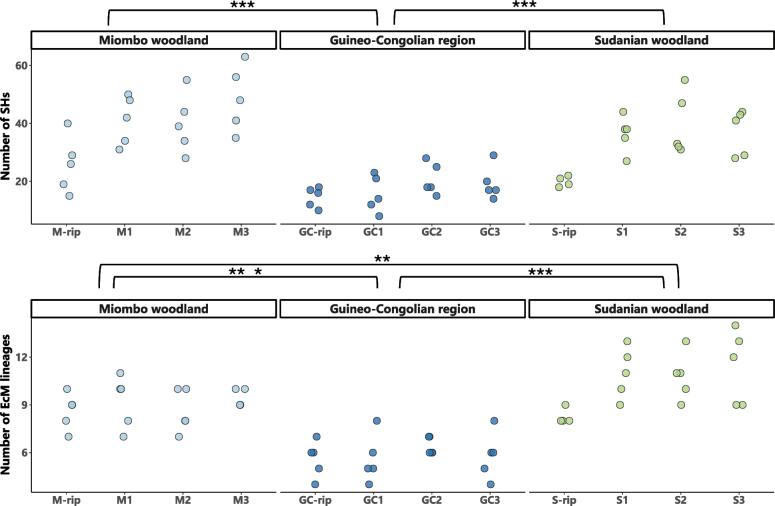 ﻿Back to the roots: Uncovering ectomycorrhizal communities across three major African vegetation types.
