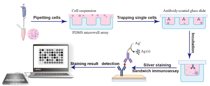 [Progress and prospect of separation and analysis of single-cell and single-particle exosomes].