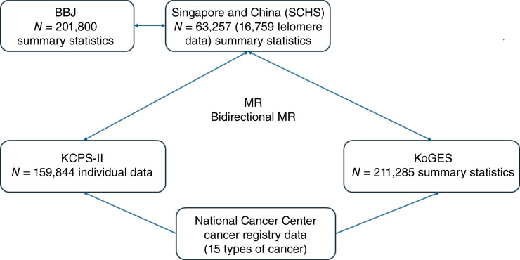 The Causal Relationship between Telomere Length and Cancer Risk: A Two-Sample Mendelian Randomization.