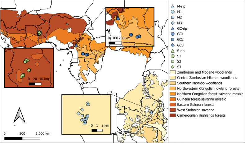 ﻿Back to the roots: Uncovering ectomycorrhizal communities across three major African vegetation types.