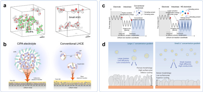 Navigating interfacial challenges in lithium metal batteries: from fundamental understanding to practical realization