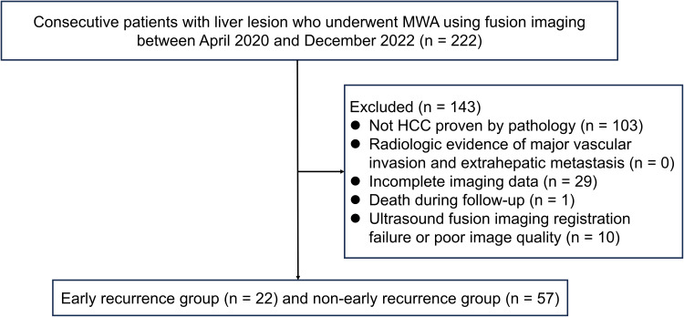 Can Intra-Operative Ablation-Specific Features Based on Ultrasound Fusion Imaging be Used to Predict Early Recurrence of Hepatocellular Carcinoma After Microwave Ablation: A Proof-of-Concept Study.