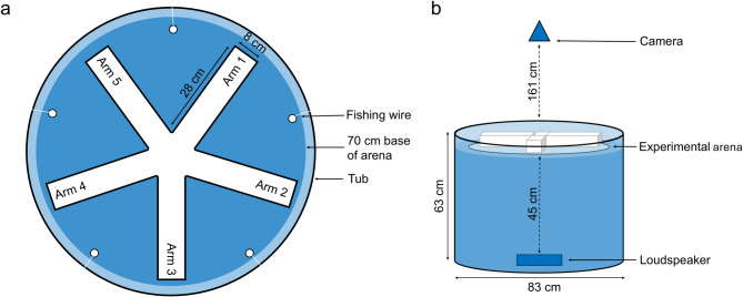 Group personality, rather than acoustic noise, causes variation in group decision-making in guppy shoals.