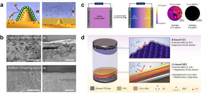 Navigating interfacial challenges in lithium metal batteries: from fundamental understanding to practical realization