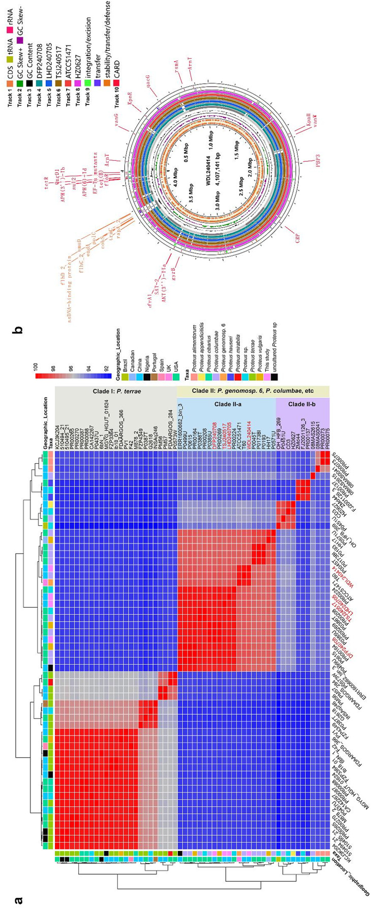 Genome-based analyses from four clinically-isolated strains refined the taxonomy of Proteus genomosp. 6 and revealed their underestimated role in gastrointestinal diseases.