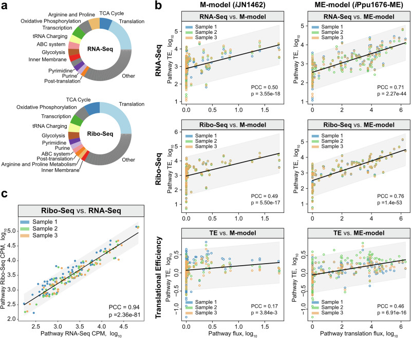 Model of metabolism and gene expression predicts proteome allocation in Pseudomonas putida.