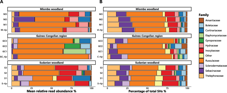 ﻿Back to the roots: Uncovering ectomycorrhizal communities across three major African vegetation types.