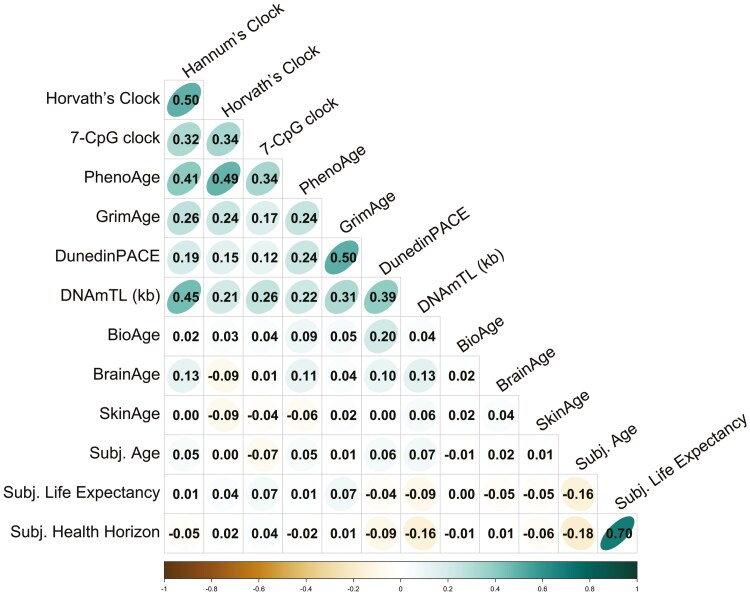 There Are Multiple Clocks That Time Us: Cross-Sectional and Longitudinal Associations Among 14 Alternative Indicators of Age and Aging.