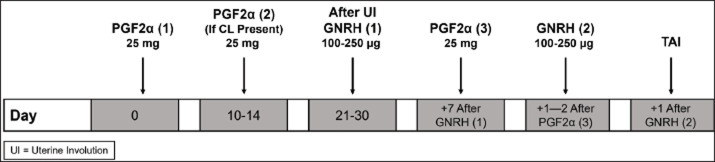 Reproductive disorders in Simmental cattle: Enhancing fertility through a hormonal protocol.