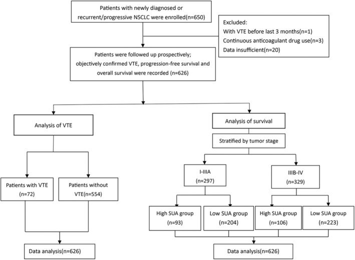 Association of Baseline Serum Uric Acid With Venous Thromboembolism and Clinical Outcomes in Patients With Non-Small Cell Lung Cancer.