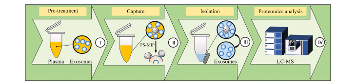 [Enriching plasma exosomes for proteomic analysis using a phosphatidylserine-imprinted polymer].