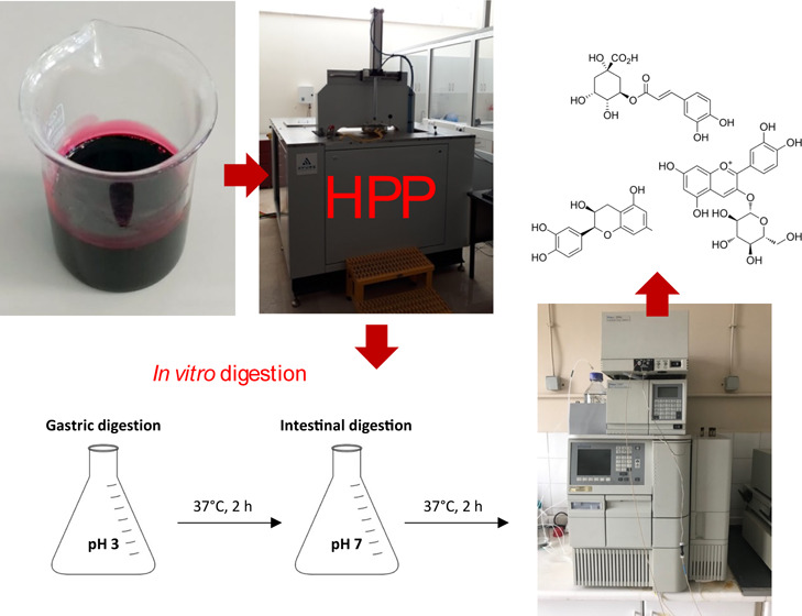 Impact of High Pressure Processing on the In Vitro Bioaccessibility of Polyphenols in Sour Cherry (Prunus cerasus L.) Juice.
