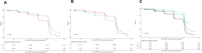 The Prognostic Value of Perioperative Factors on Biochemical Recurrence in Patients Undergoing Radical Prostatectomy.