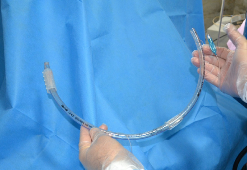 Developing an innovative interventional approach for stenting trachea.