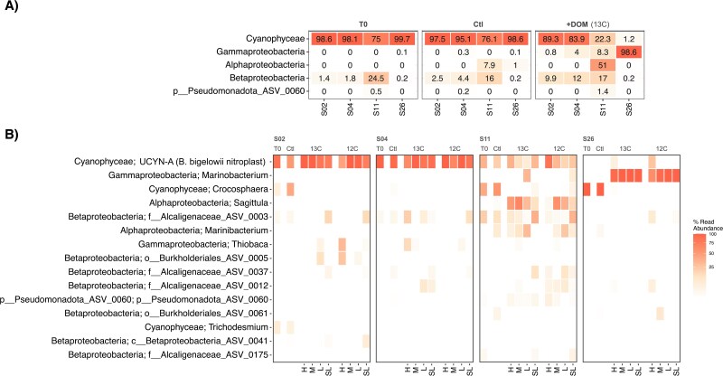 Organic metabolite uptake by diazotrophs in the North Pacific Ocean.