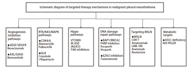 [Recent Advances in Medical Treatment of Malignant Pleural Mesothelioma].