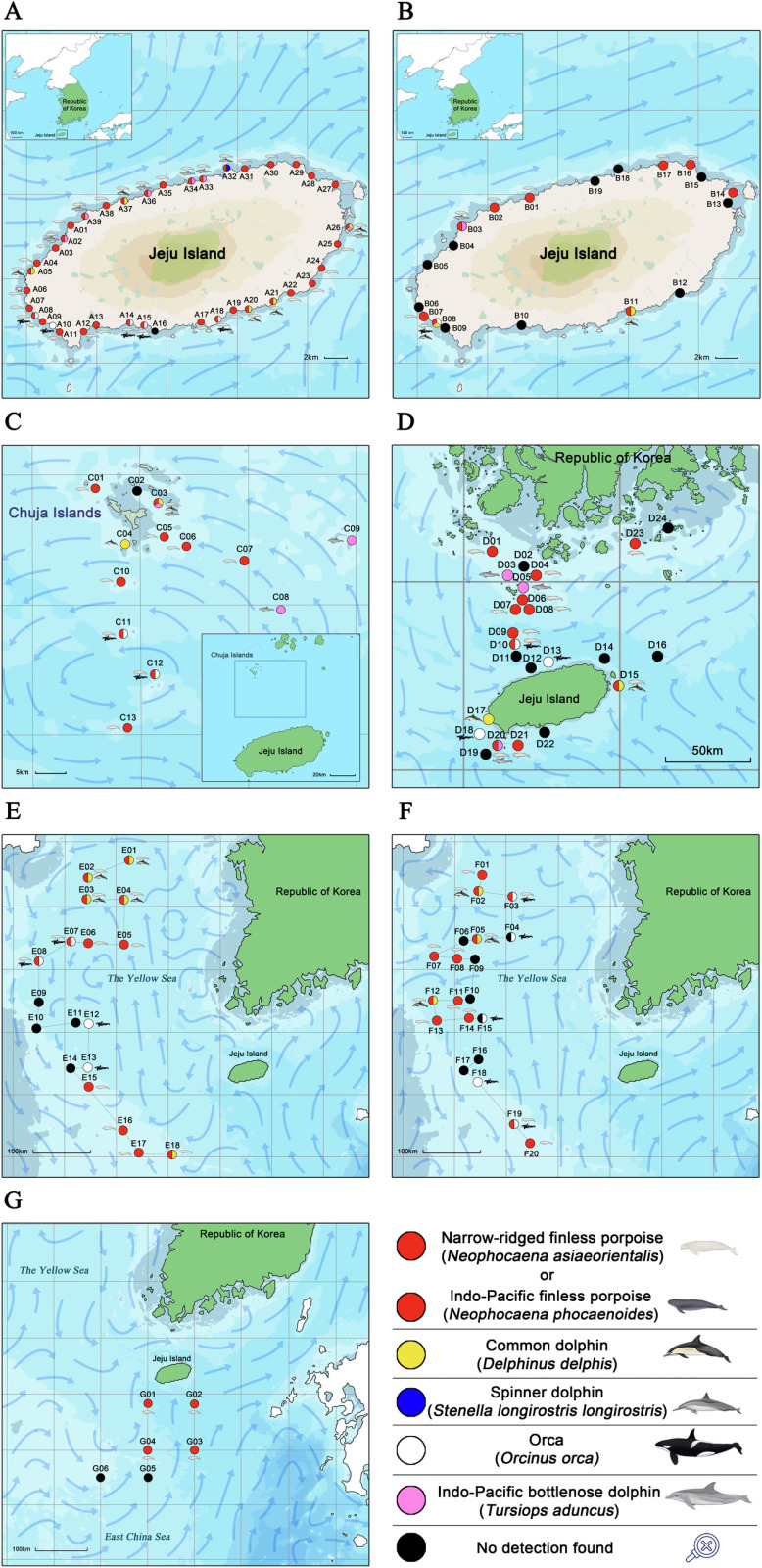 Distribution analysis of the finless porpoises (Neophocaena sp.) and oceanic dolphins (Delphinidae) in the Korean Sea using environmental DNA.