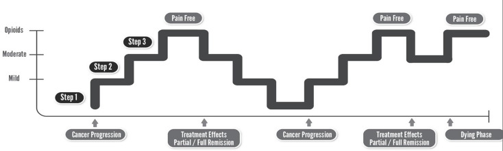 Reflecting on Cancer Pain as Constant Acute Pain, not Chronic Pain. 'Known Knowns, Known Unknowns, Unknown Unknowns'.