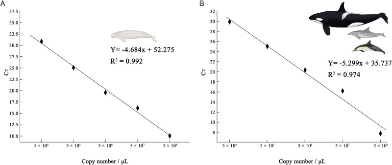 Distribution analysis of the finless porpoises (Neophocaena sp.) and oceanic dolphins (Delphinidae) in the Korean Sea using environmental DNA.