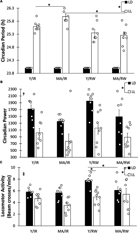 The Effects of Constant Light and Running-Wheel Access in Middle-Aged Female C57BL6/J Mice.