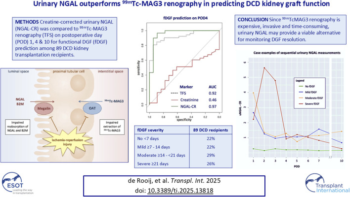 Urinary NGAL Outperforms <sup>99m</sup>Tc-MAG3 Renography in Predicting DCD Kidney Graft Function.