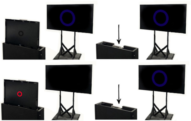 The size-distance scaling of real objects and afterimages is equivalent in typical but not reduced visual environments.