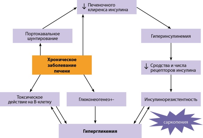 [Hepatogenic diabetes: three cases report and literature review].