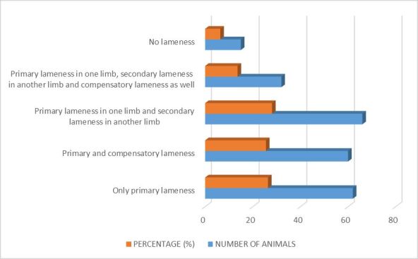 Objective lameness assessment of 235 horses undergoing lameness examination in Brazil: A retrospective study.