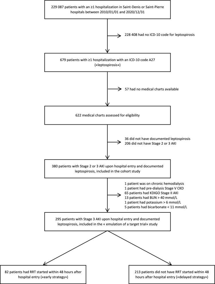 Immediate or delayed initiation of renal replacement therapy in patients with leptospirosis and acute kidney injury: a target trial emulation.