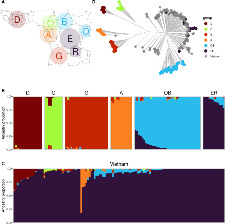 Out of Africa: The genomic footprints of Vietnamese Robusta coffee.